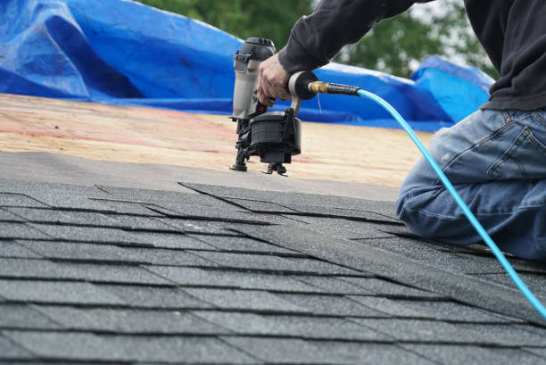 Best Roof Insulation Installation  in Elkridge, MD